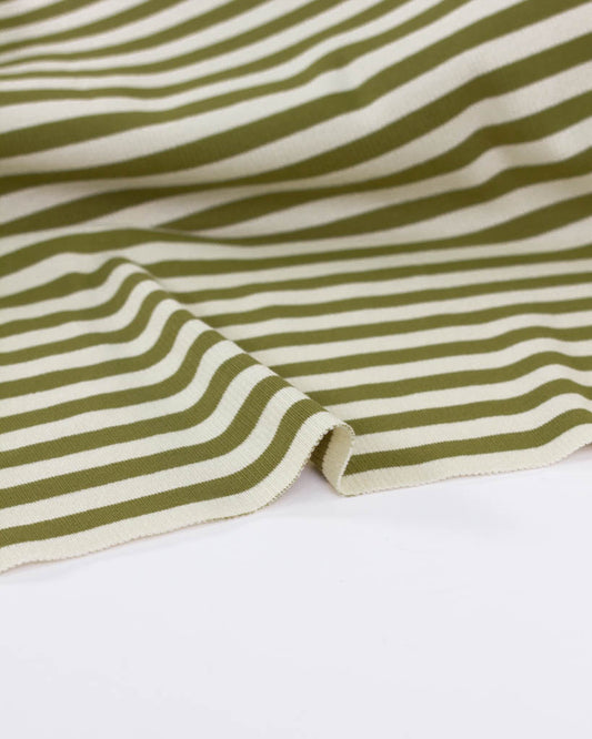 Macaron Ribbed Cotton Jersey Fabric - Pistachio