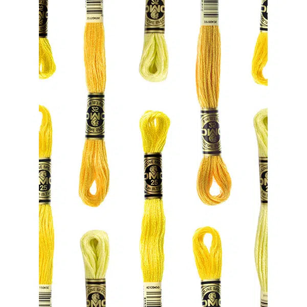 DMC Embroidery Thread - Stranded Cotton - Yellow Shades – Truro Fabrics