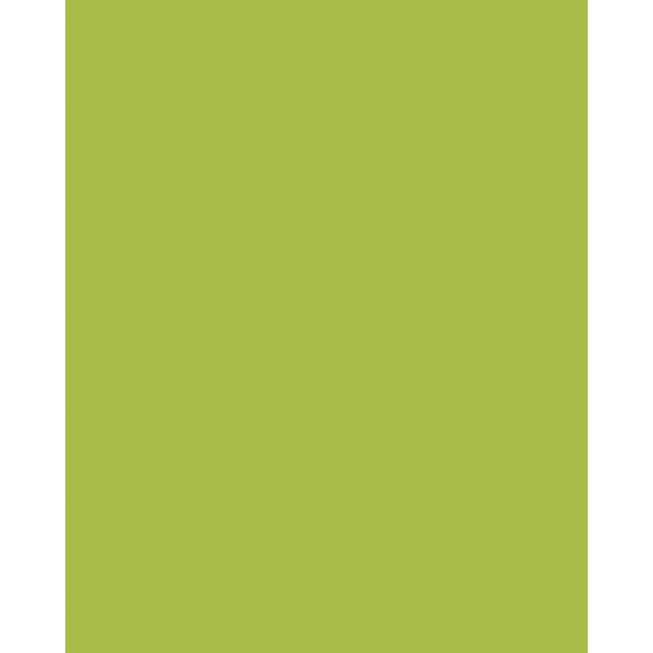 Patchwork Cotton Fabric - Spectrum Solids - Pistachio | Truro Fabrics