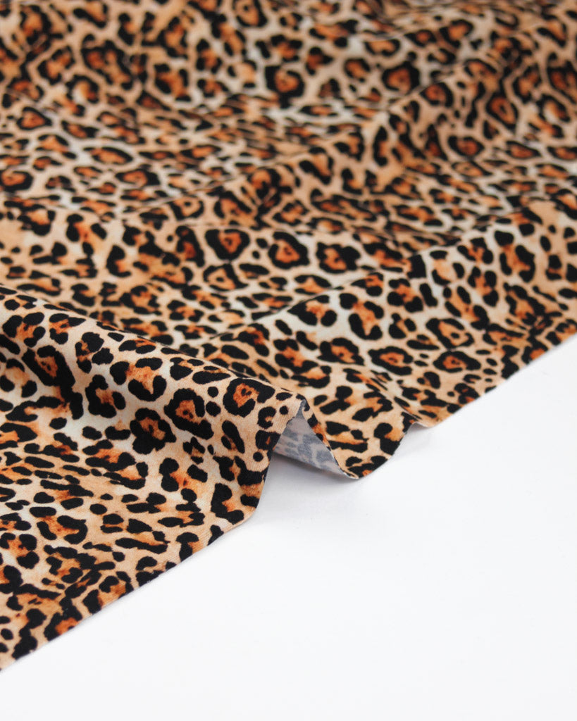 Leopard print cotton jersey fabric on a white background