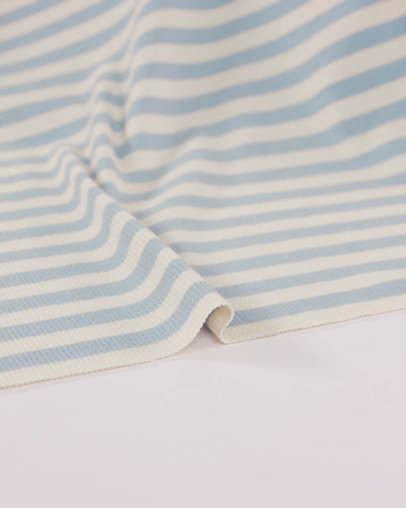 Macaron Ribbed Cotton Jersey Fabric - Blueberry