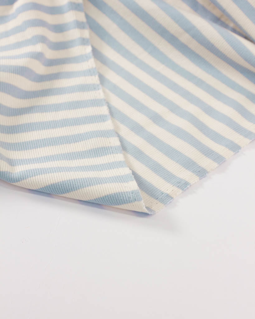Macaron Ribbed Cotton Jersey Fabric - Blueberry