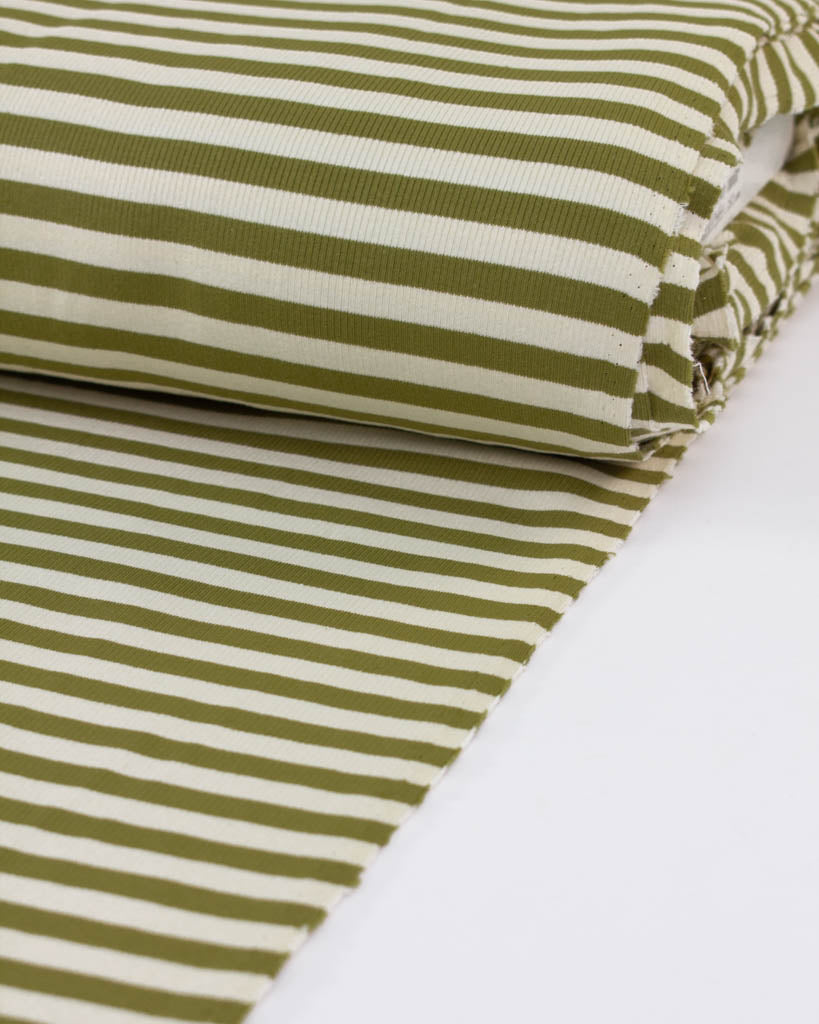 Macaron Ribbed Cotton Jersey Fabric - Pistachio
