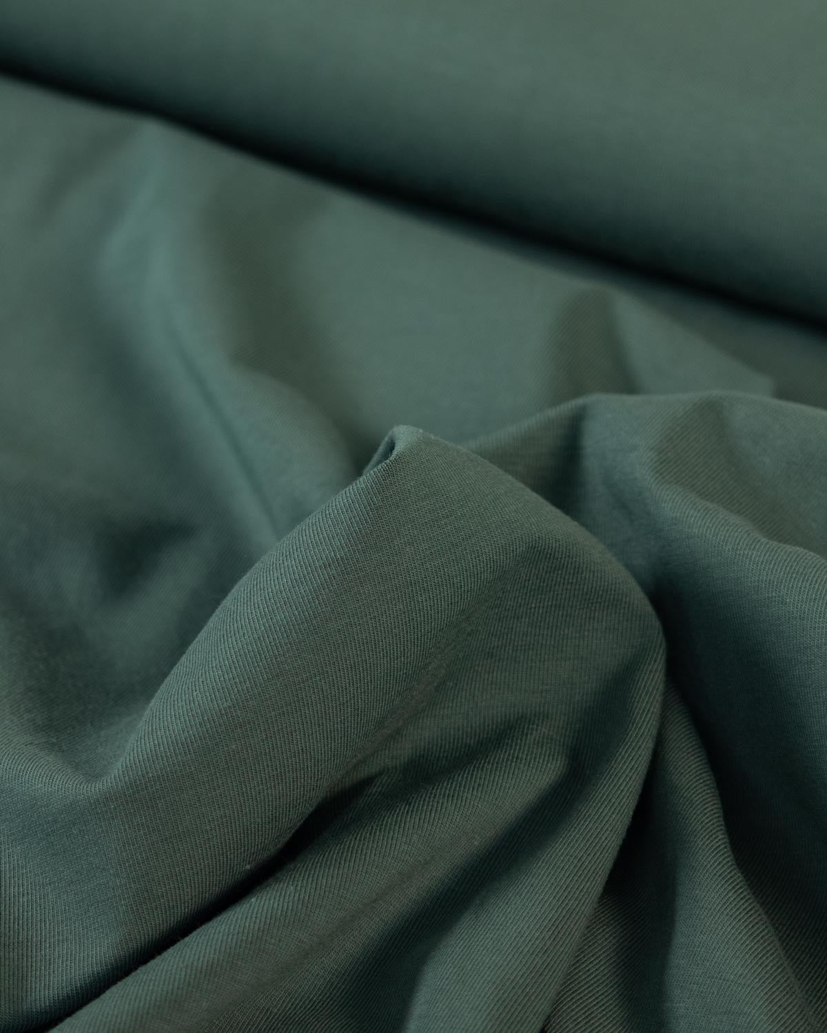 Organic Cotton Jersey - Pine