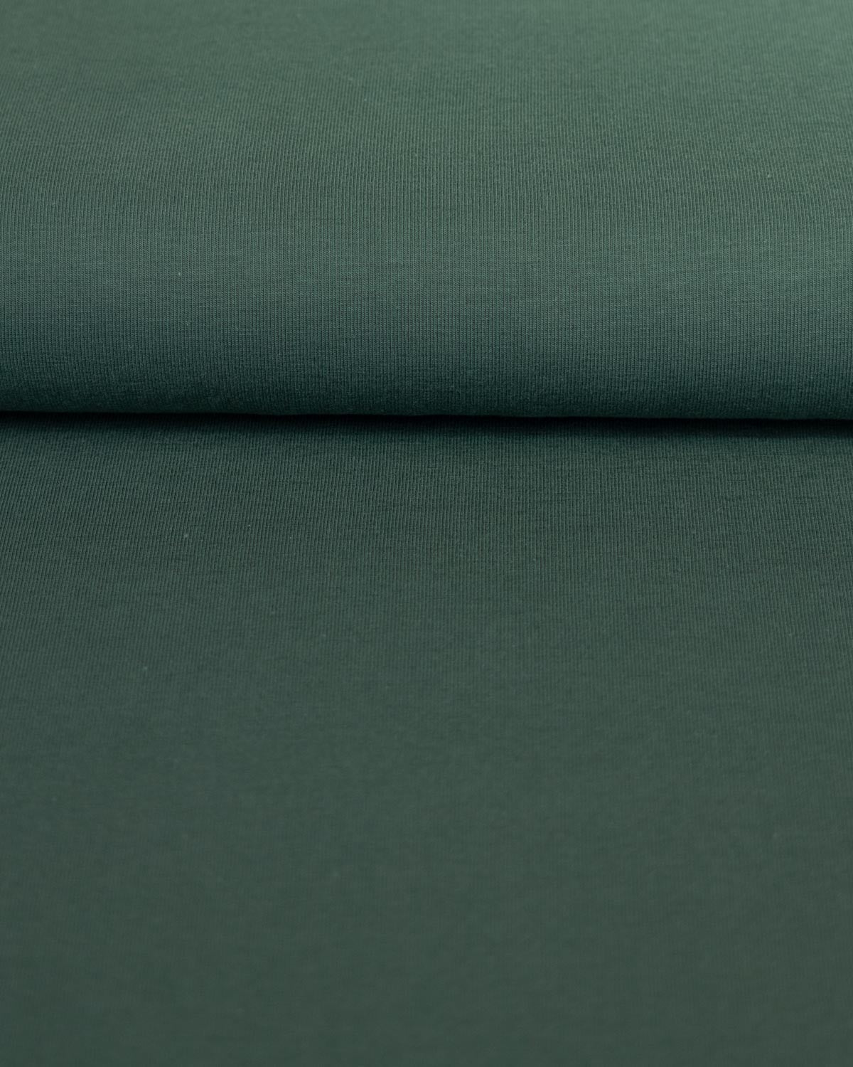 Organic Cotton Jersey - Pine