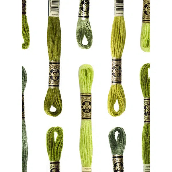 DMC Embroidery Thread - Stranded Cotton - Green Shades – Truro Fabrics