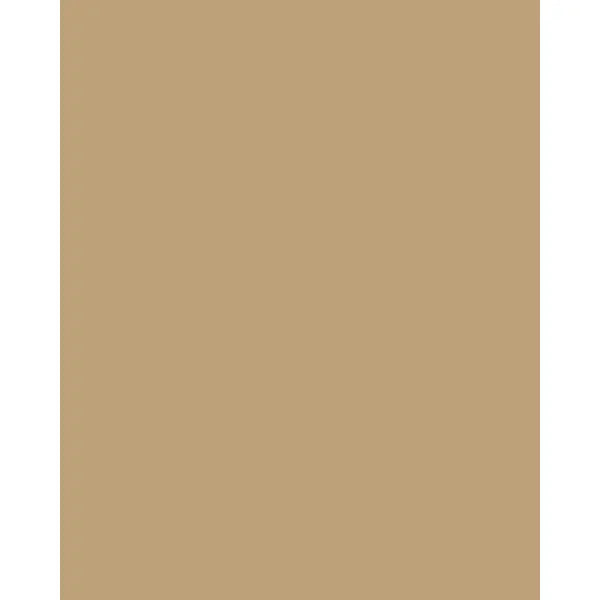 Patchwork Cotton Fabric - Spectrum Solids - Beige | Truro Fabrics