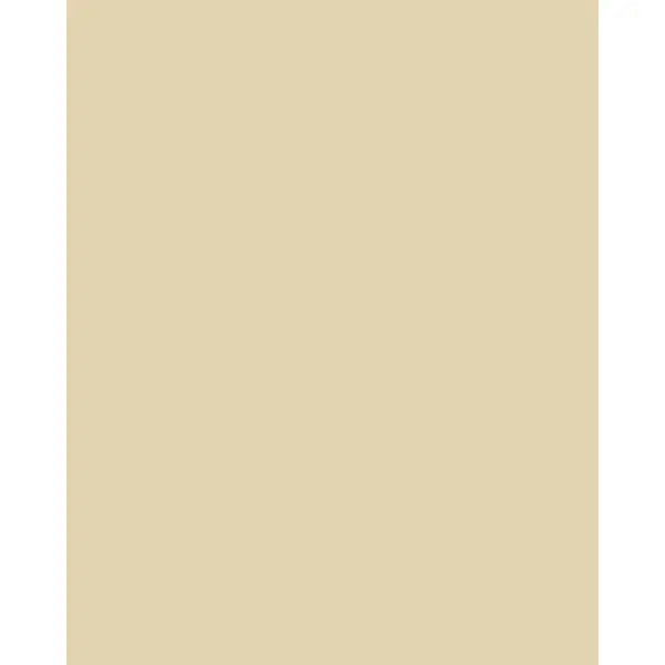 Patchwork Cotton Fabric - Spectrum Solids - Latte | Truro Fabrics
