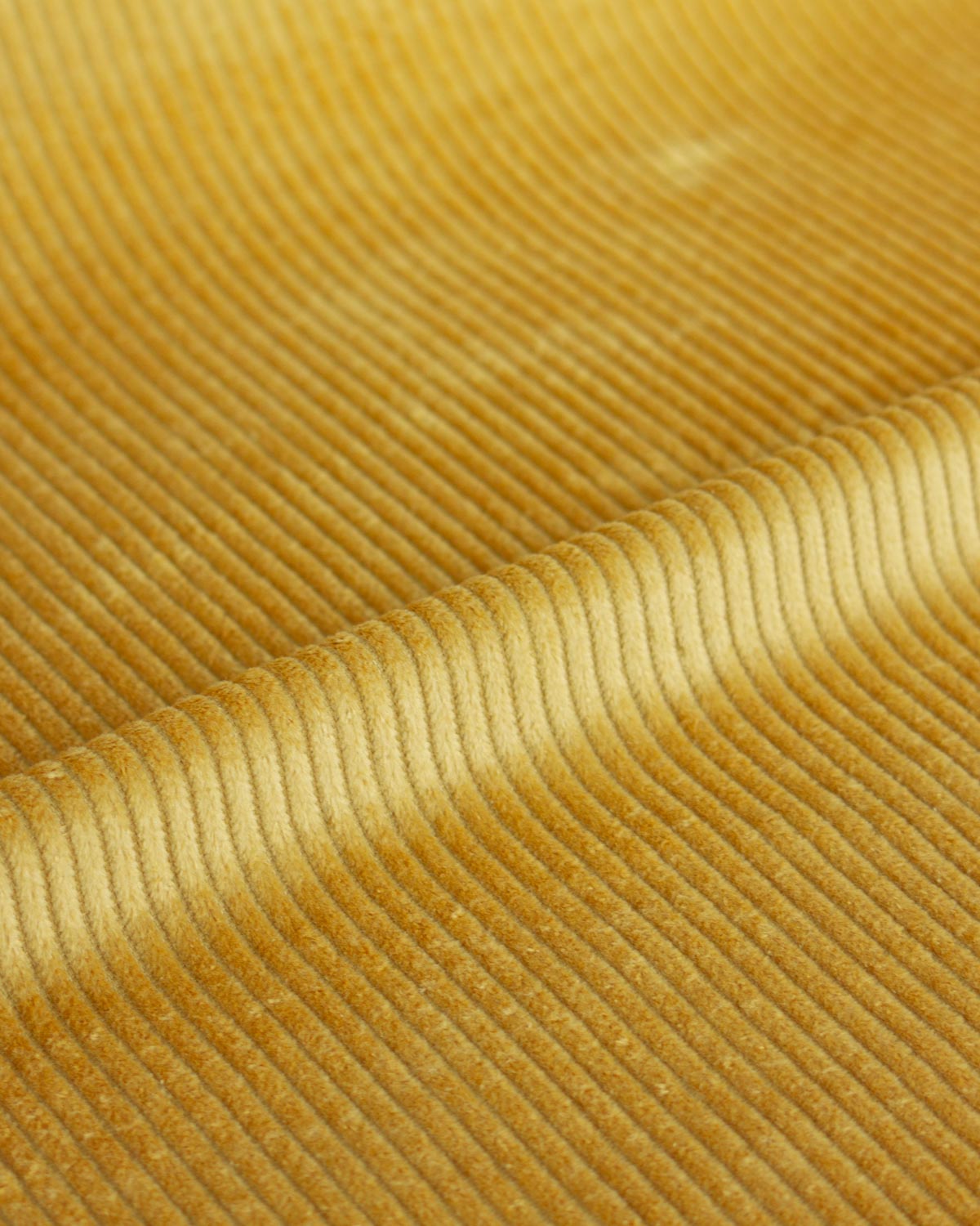 Washed Cotton Jumbo Corduroy - Mustard Seed