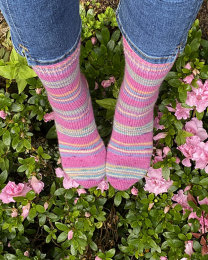 Ultimate Learn to Knit Socks Workshop | 26th October